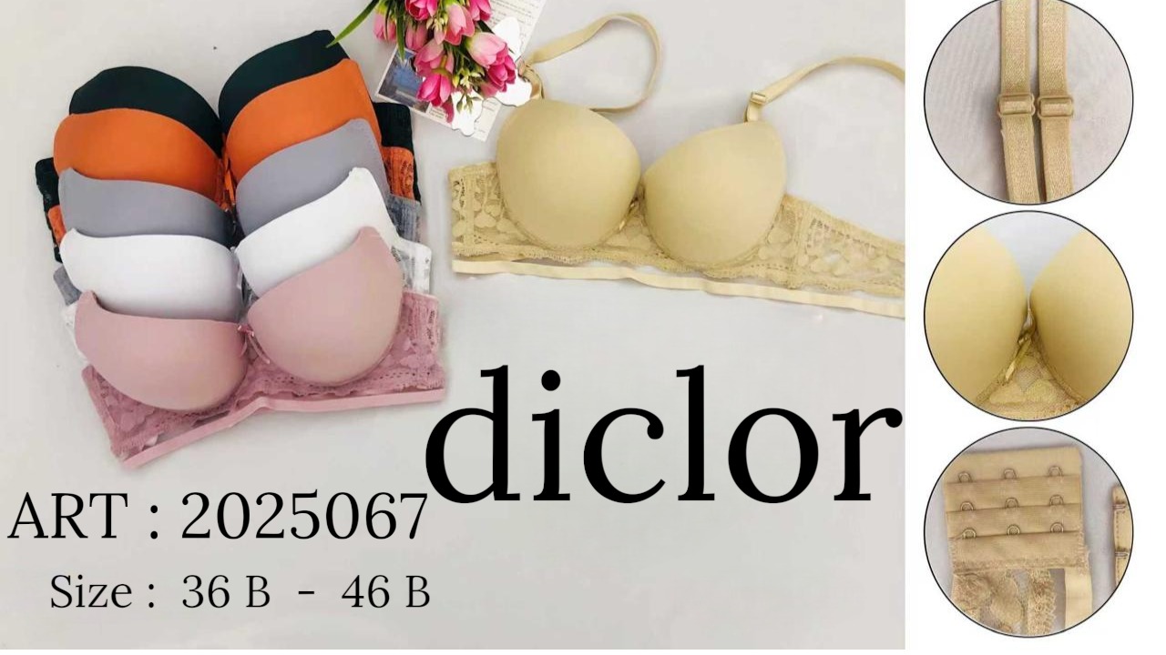 Collection modèle