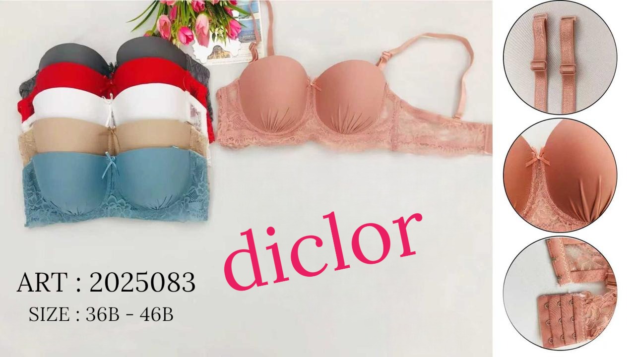 Collection modèle