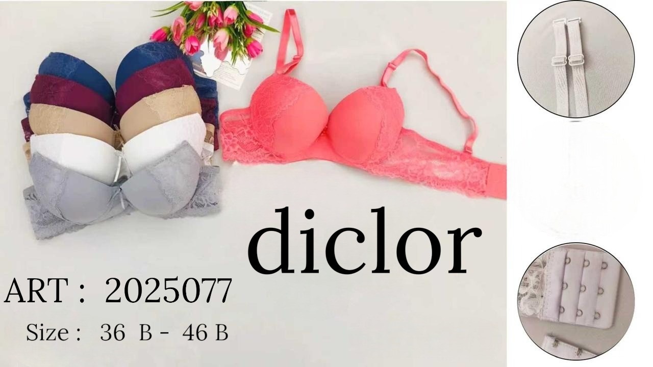 Collection modèle
